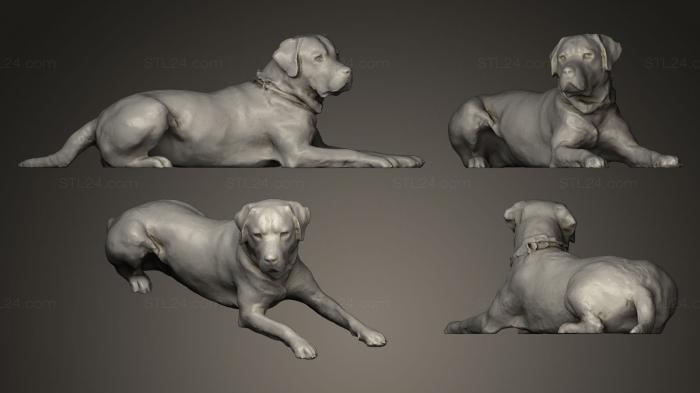 Animal figurines (DOG A43, STKJ_0228) 3D models for cnc